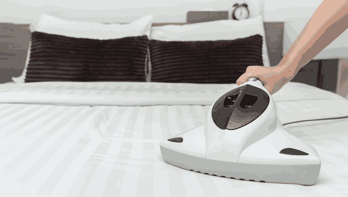 Professional Mattress Cleaning Newtown